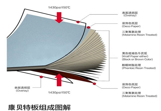 康貝特板組成結構圖